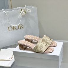 Christian Dior Slippers